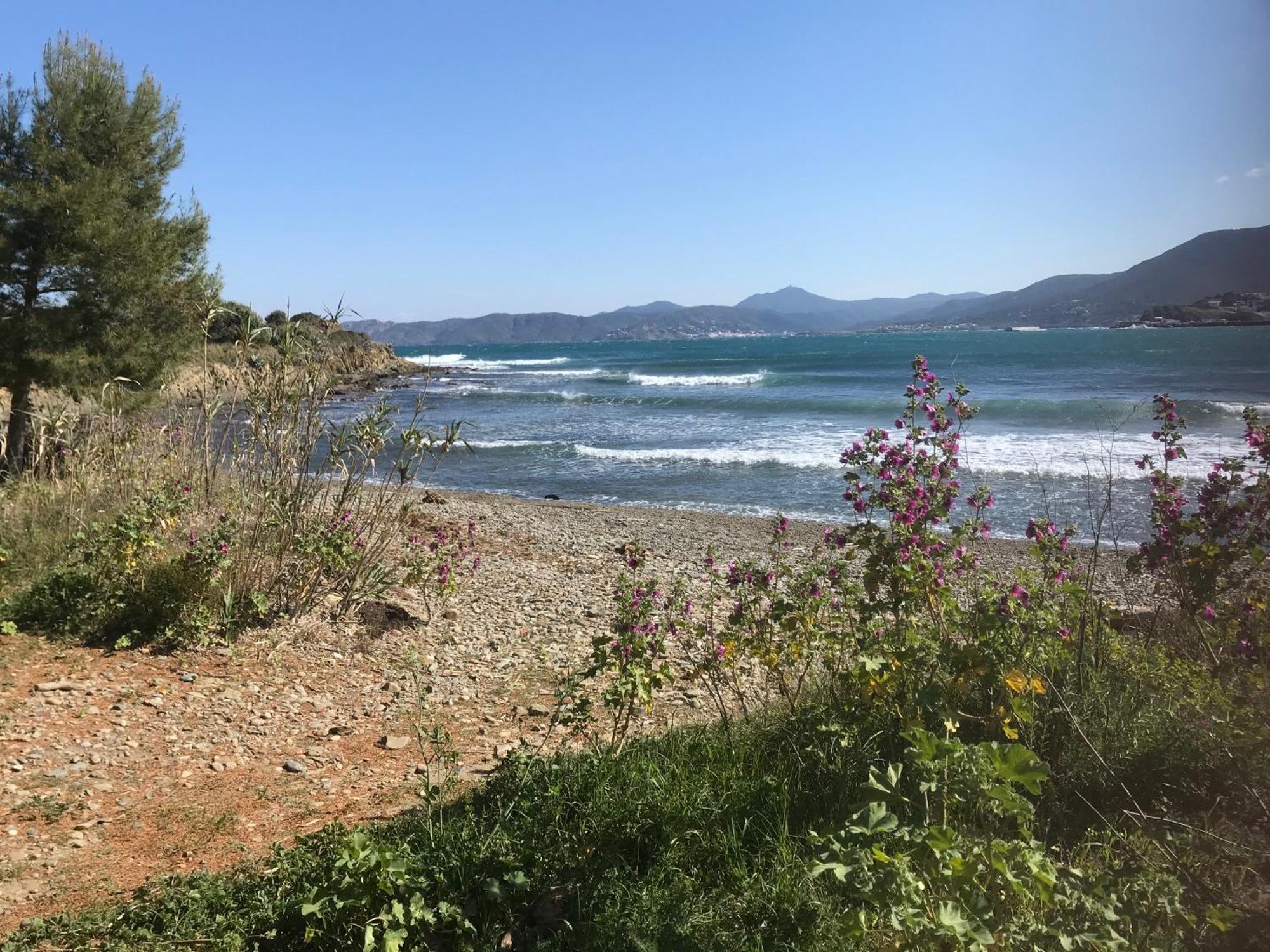 Stunning Sea Views From Luxury 4 Bed Apartment Close To Beach At Cap Ras Llançà Extérieur photo